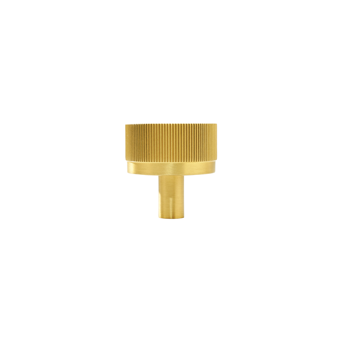 Momo Bellevue Lined Knob Solid Brass 35mm in Brushed Satin Brass (1)